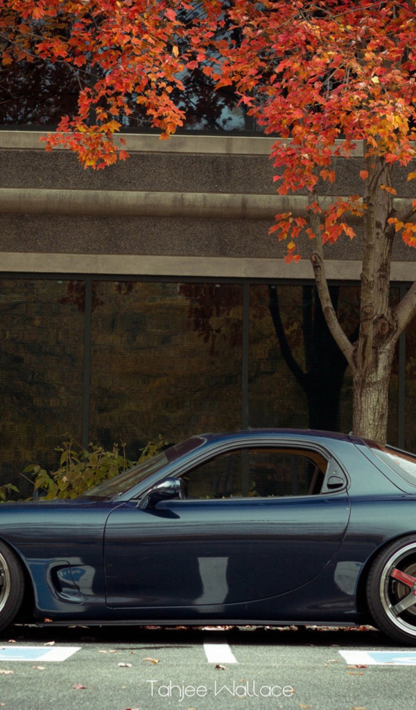 Синий Porsche 2012