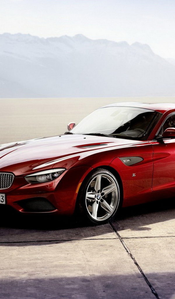 BMW-Zagato Coupe Concept