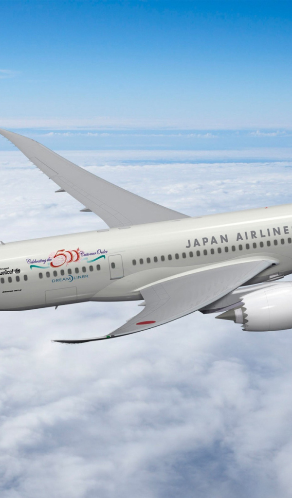 Боинг-787 Дримлайнер