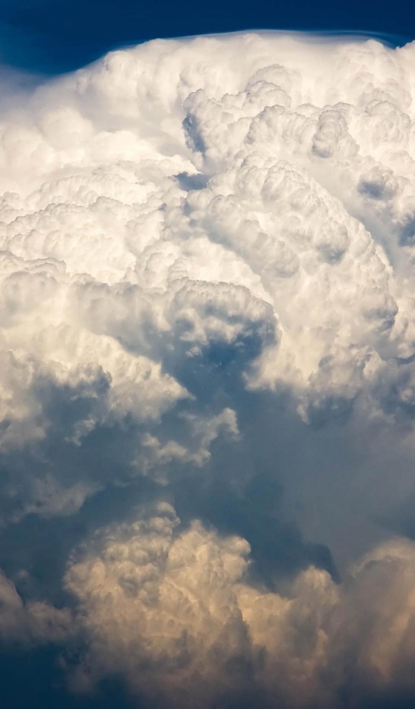 Самолет в облоках