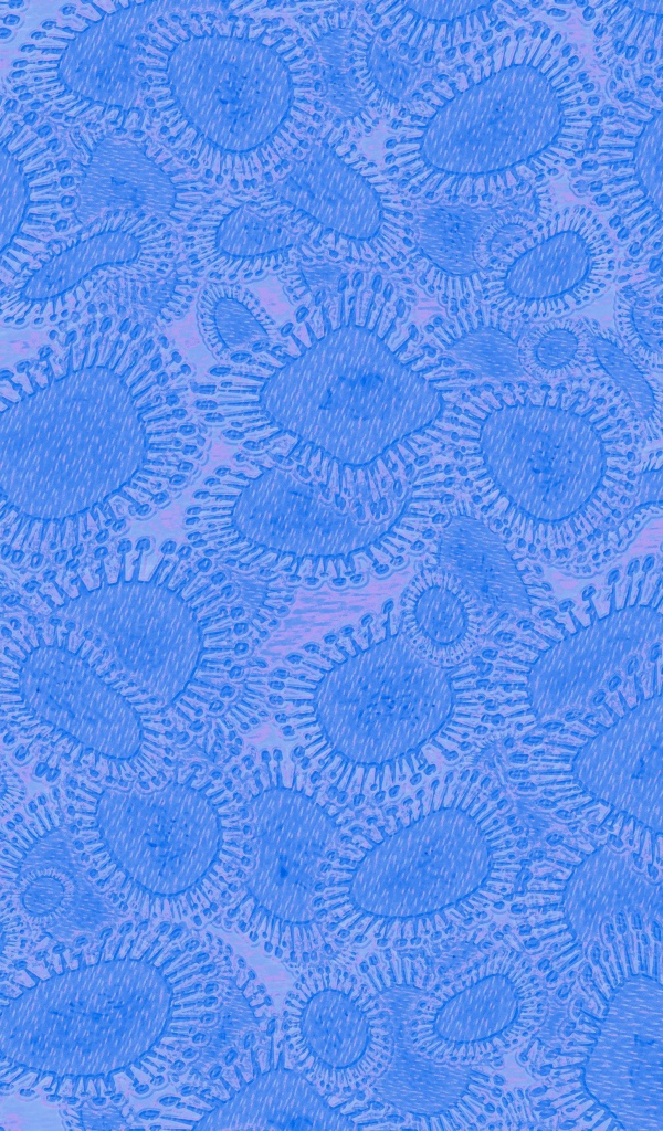 Вирусный фон