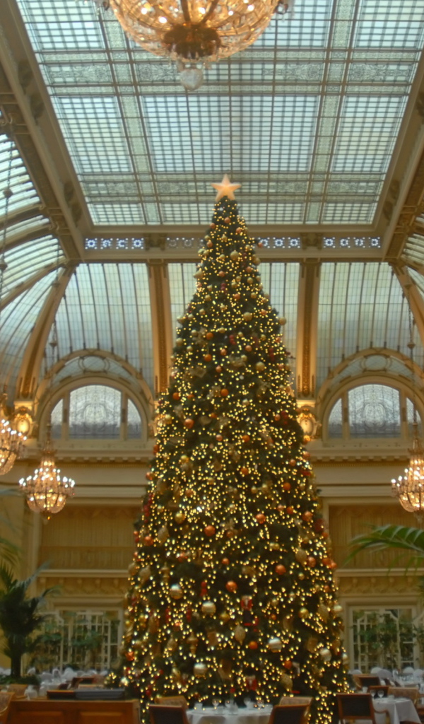 Новогодняя елка в зале