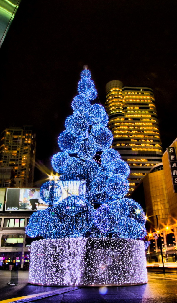 Городская елка на Рождество