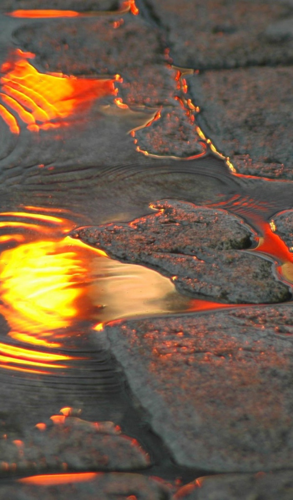 Тротуарная плитка