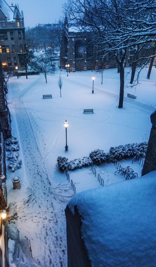 Заснеженная улица