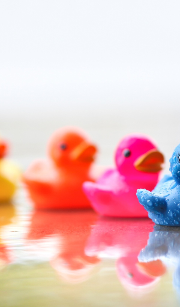 Разноцветные уточки