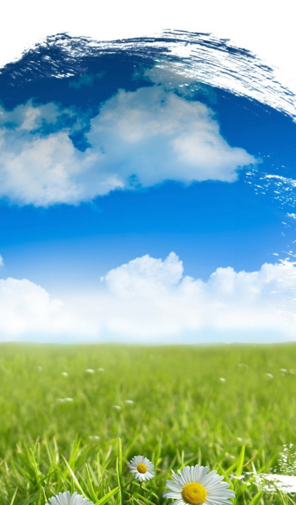 Красочный мир