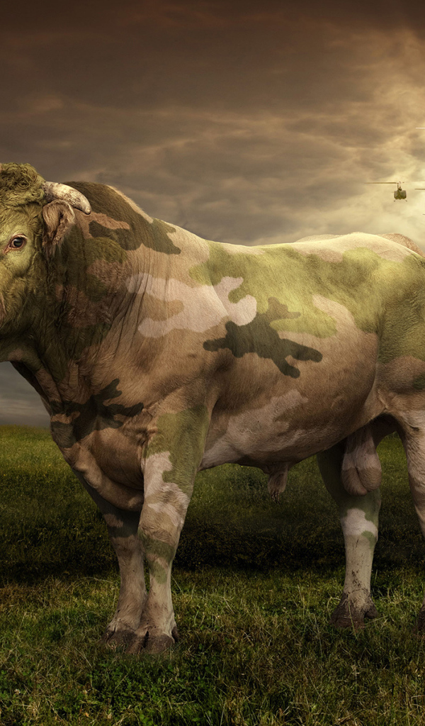 Корова цвета хаки