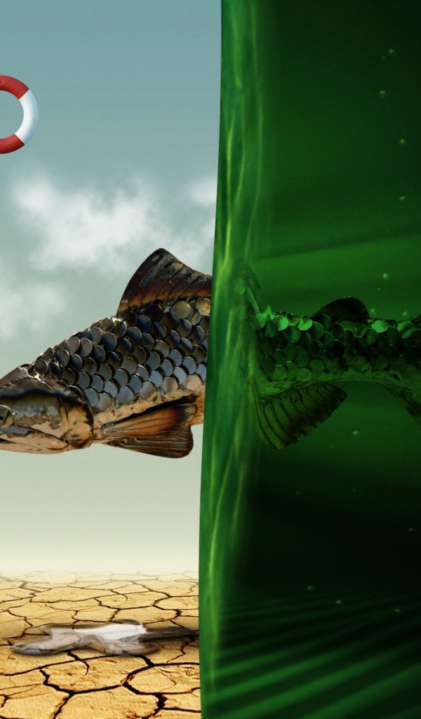 Рыбная мечта