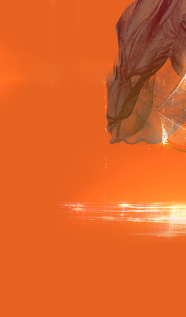 Осенние обои