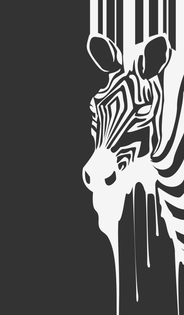 Черно-белая зебра