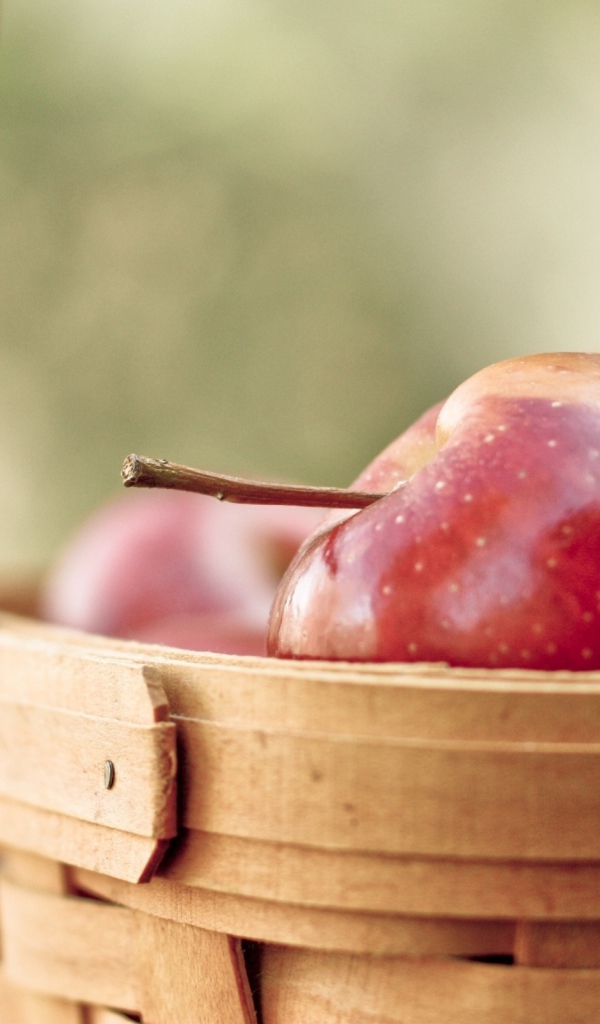 Корзина с яблоками