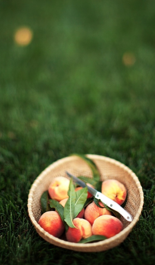 Персики в миске