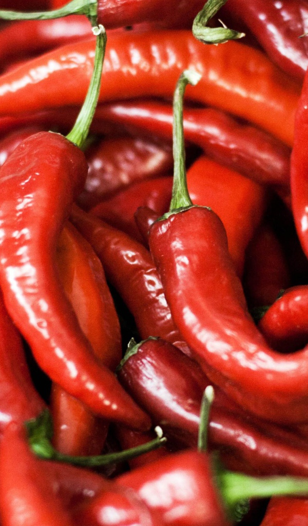 Красный перец