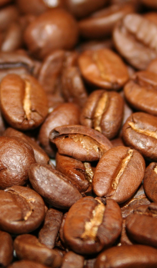 Зерновой кофе