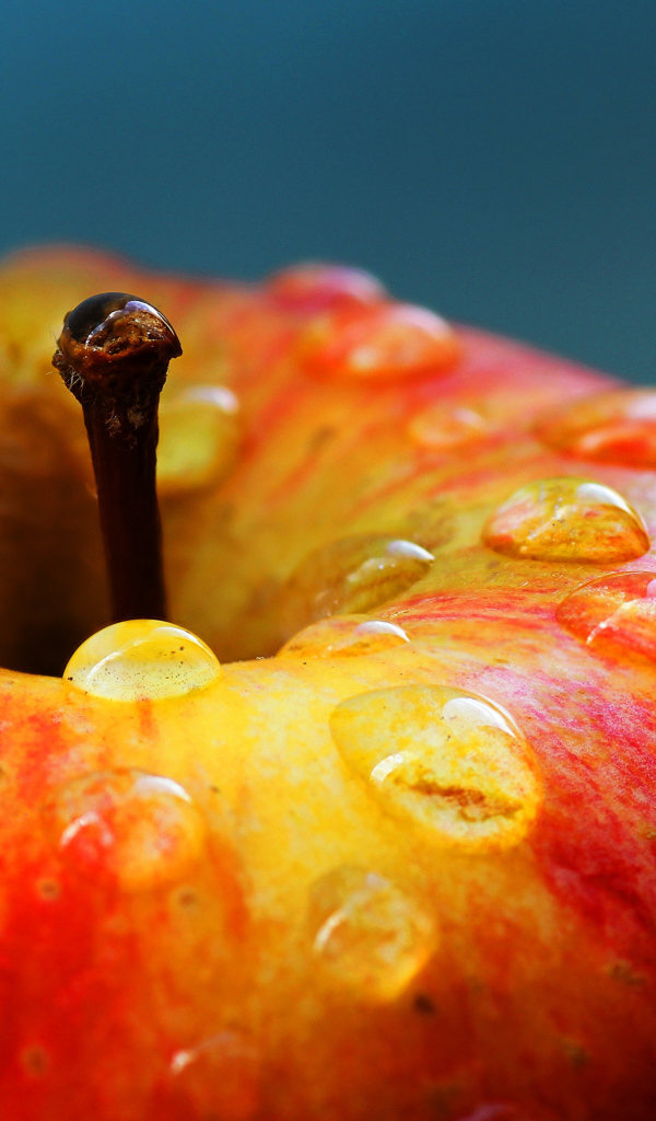 Мытое яблоко