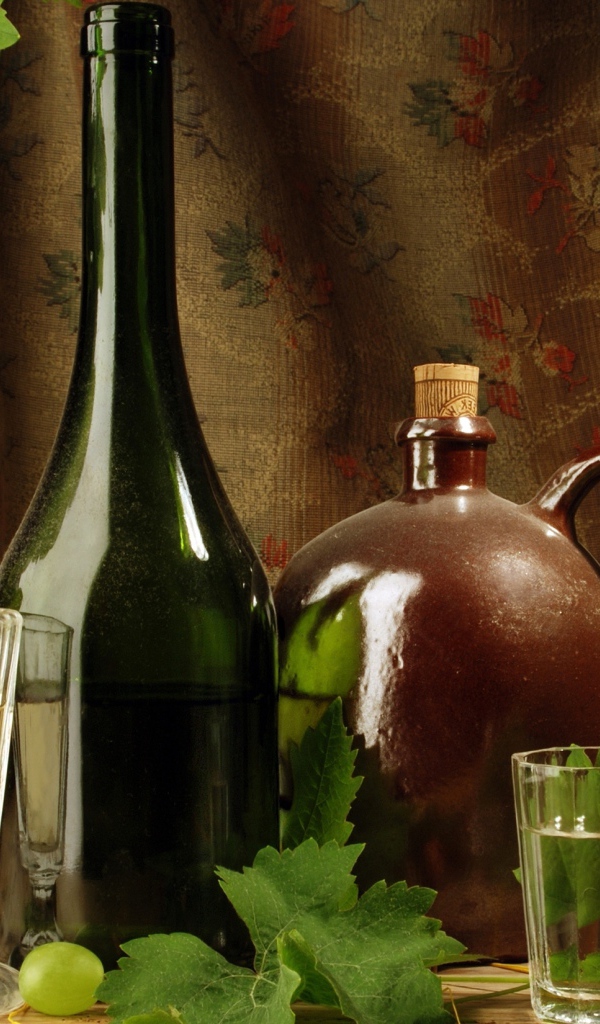 Вино и виноград