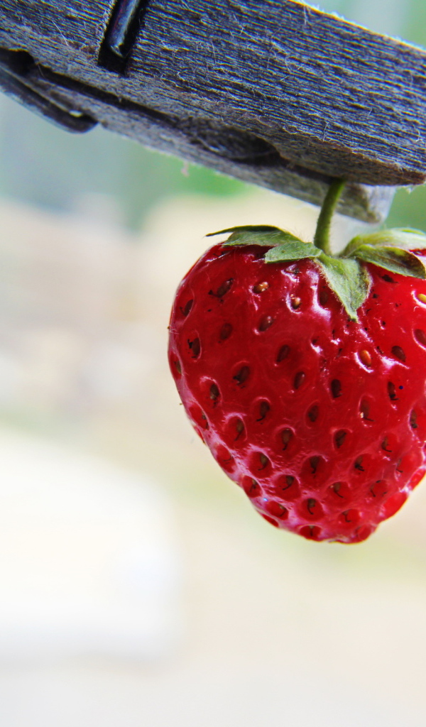 Ягода на прищепке