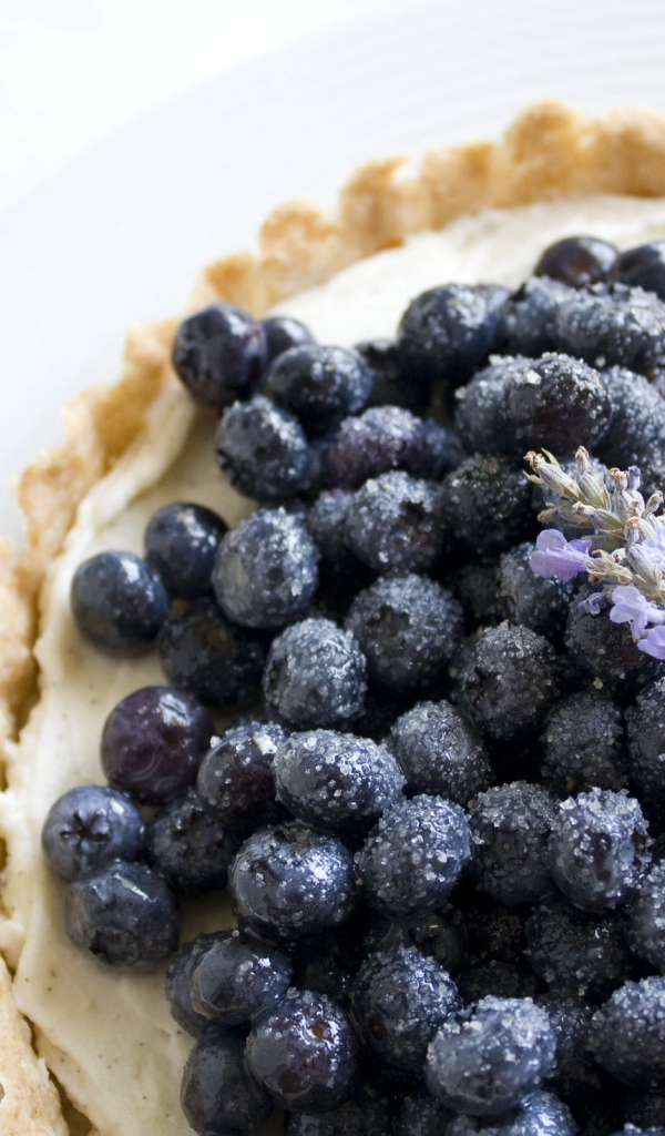 Ягода черника