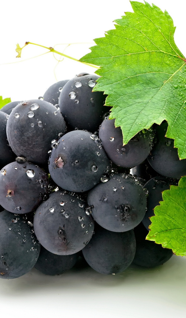Виноградная кисть