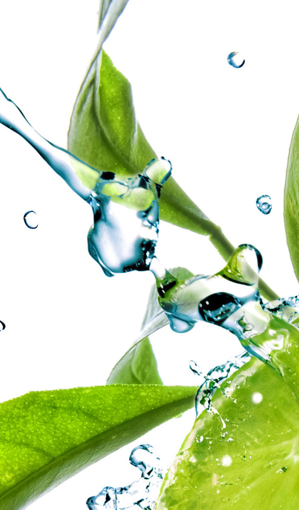 Освежающий лайм