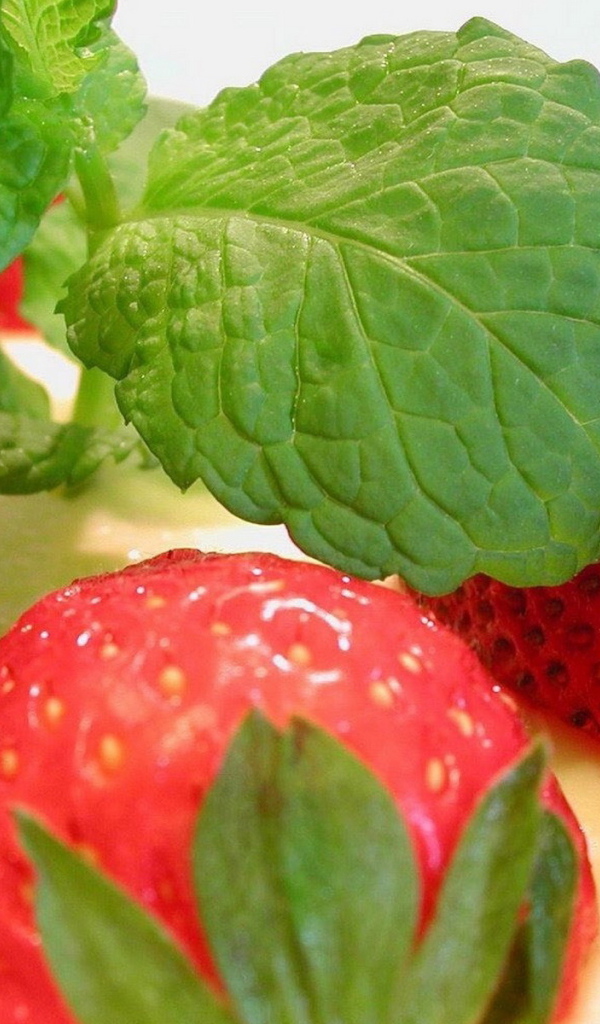 Strawberries and Mint