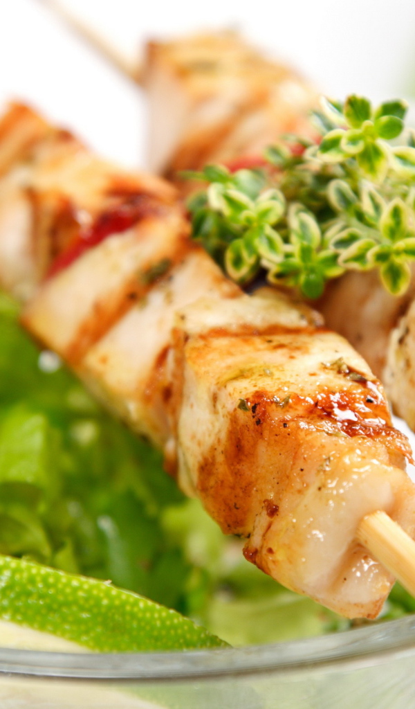 Шашлык на шпажках