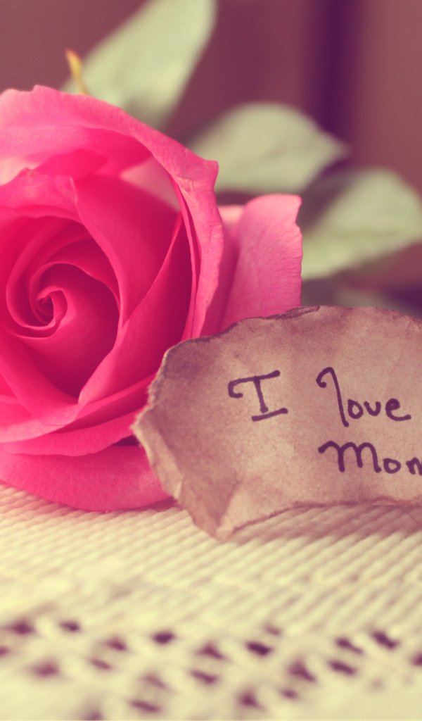 Записка и роза