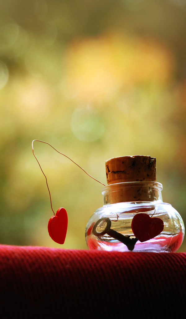 Узник любви