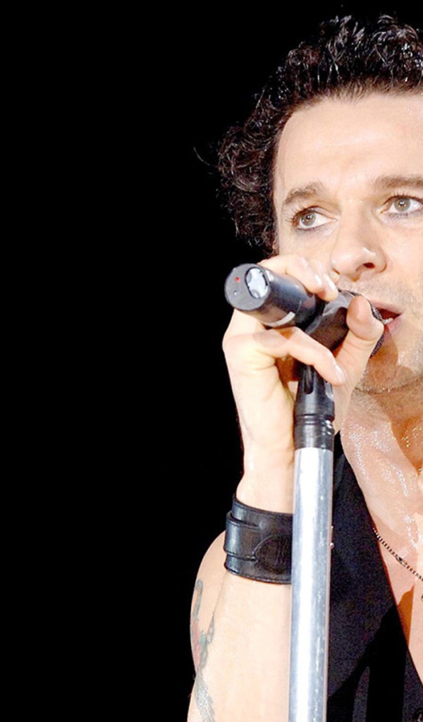 Дэвид Гаан (David Gahan)