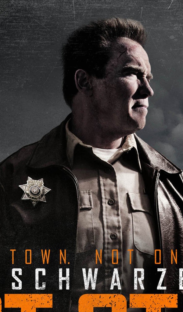 Возвраение героя