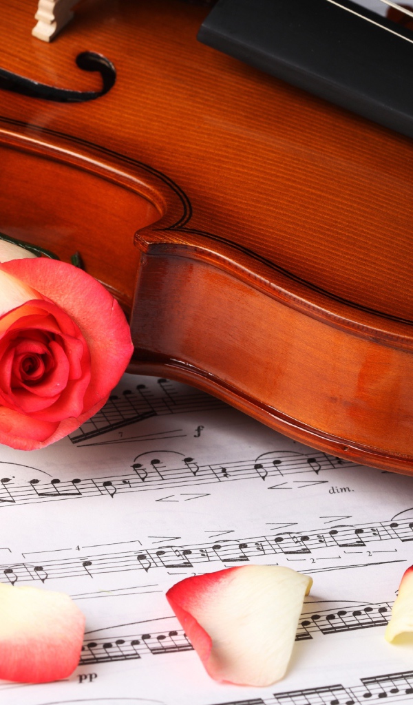 Классическая музыка