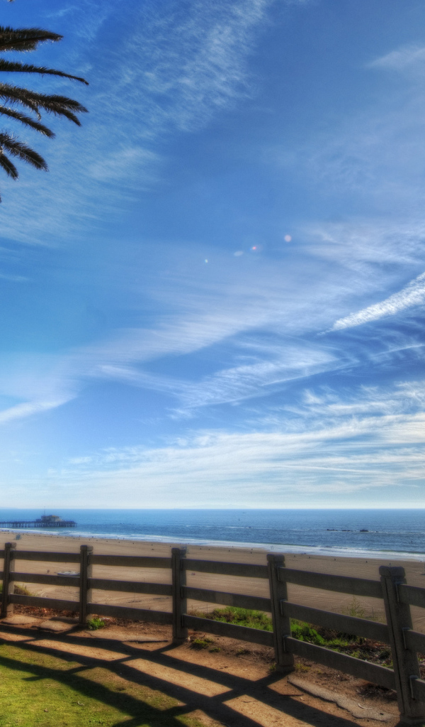 Пальма на берегу