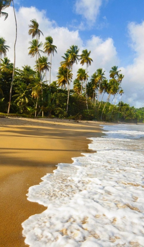 Пальмы и пляж