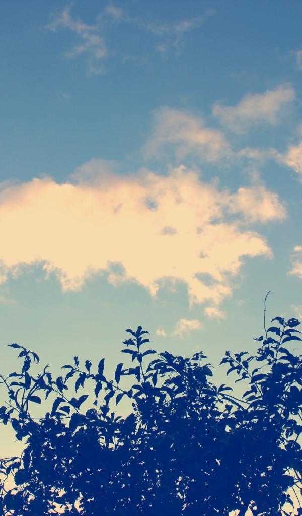 Облака и дерево