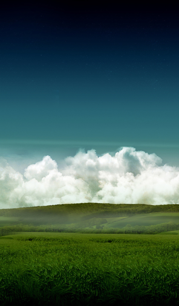 Облака над лугом