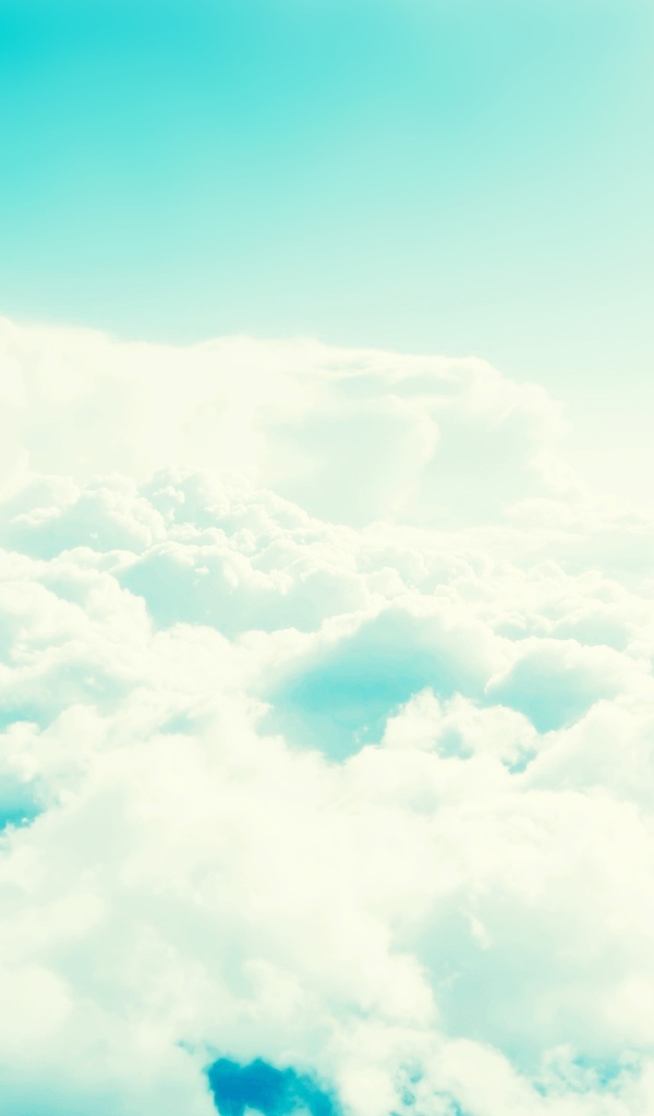 Облачная гавань