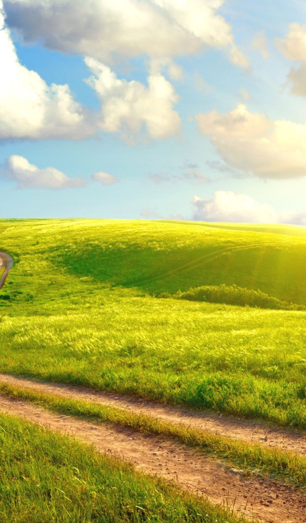 Солнечный день