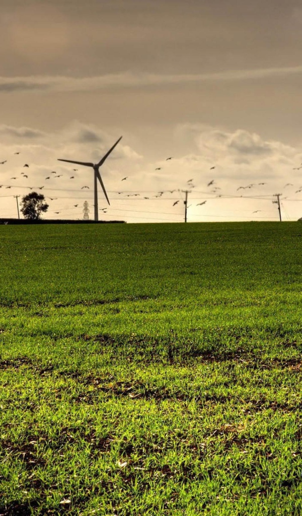 Турбины в полях