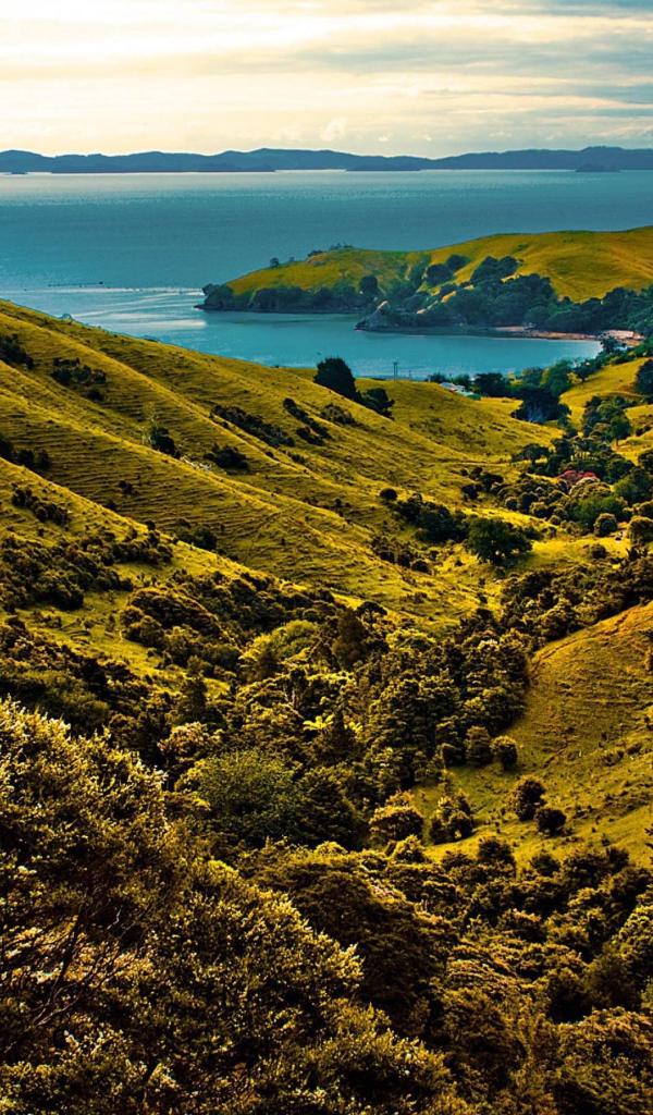 Долина у моря