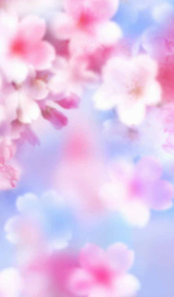 Розовые цветочки