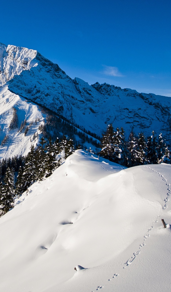 Утро в горах