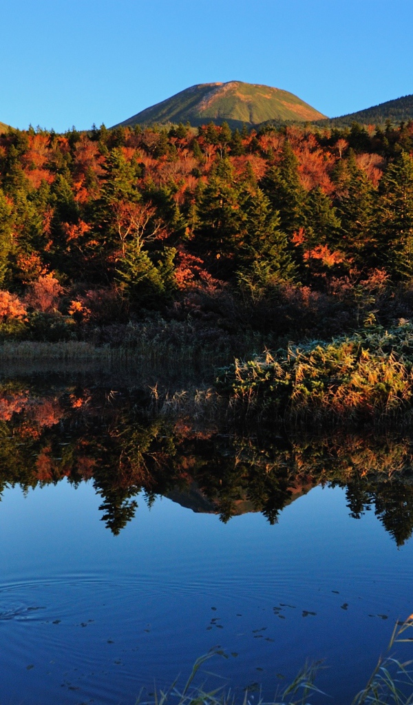 Горы у озера