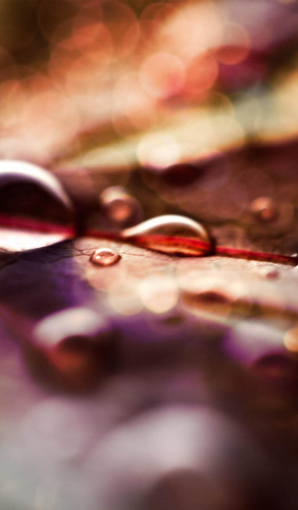 Капли на листке