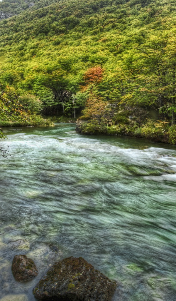 Быстрая горная речка