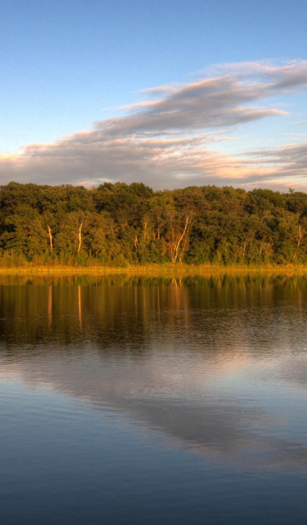 Озеро у леса