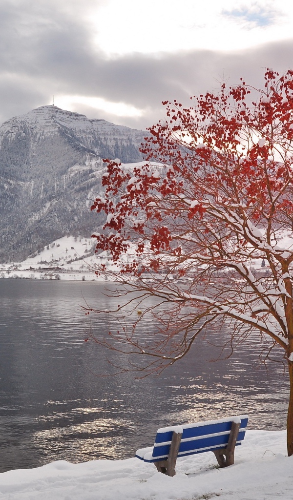 Рябина у озера