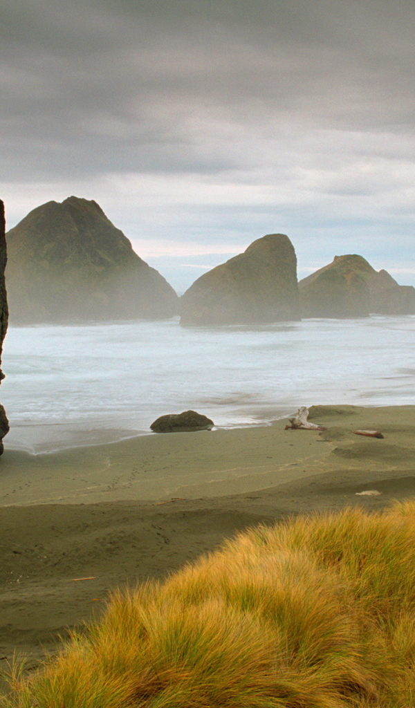 Морское побережье