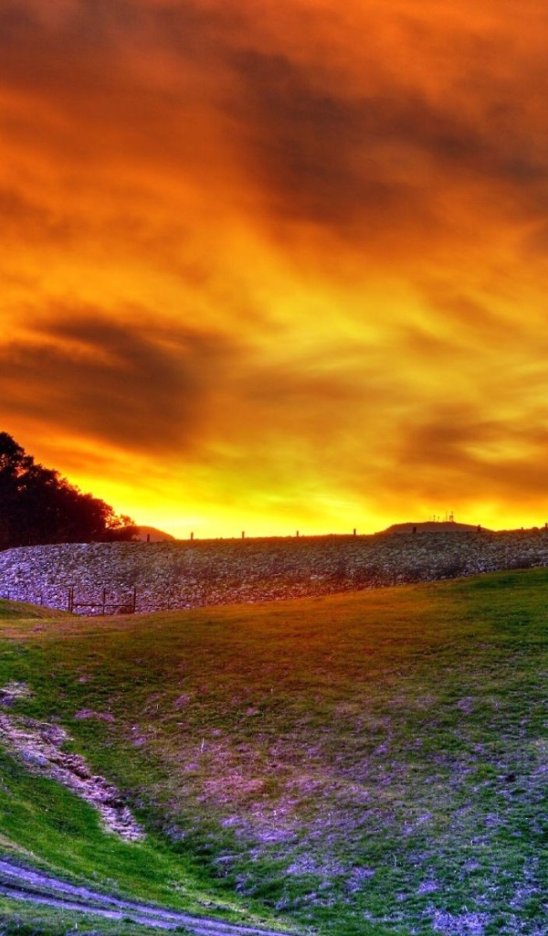 Поле на закате