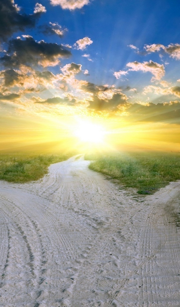 В чистом поле